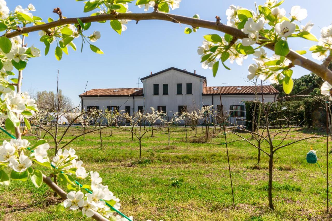 Agriturismo Ca' Baccan Cavallino-Treporti Dış mekan fotoğraf