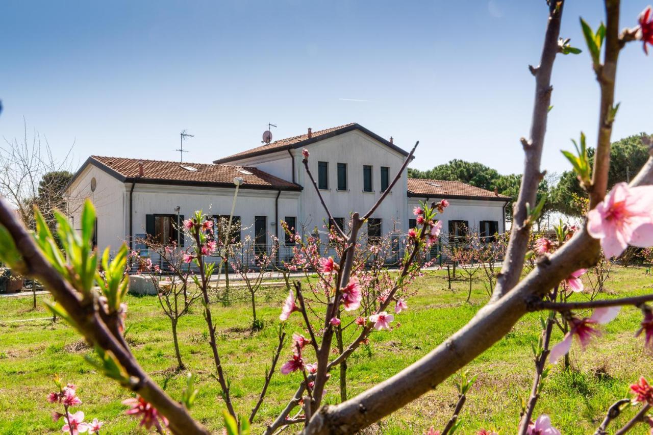 Agriturismo Ca' Baccan Cavallino-Treporti Dış mekan fotoğraf