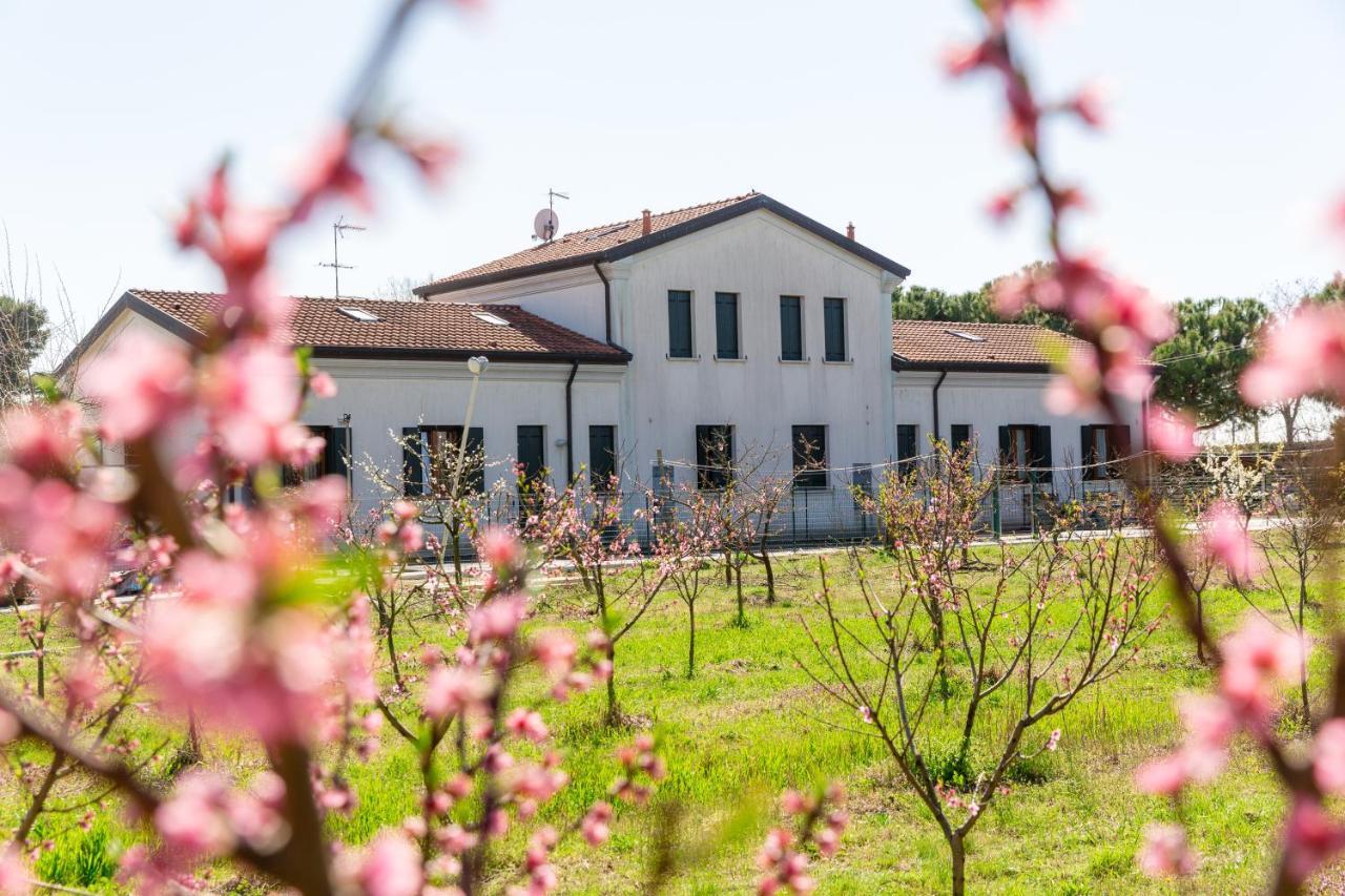 Agriturismo Ca' Baccan Cavallino-Treporti Dış mekan fotoğraf